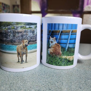 Ashley added a photo of their purchase