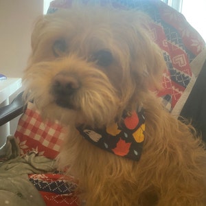 Holly a ajouté une photo de son achat