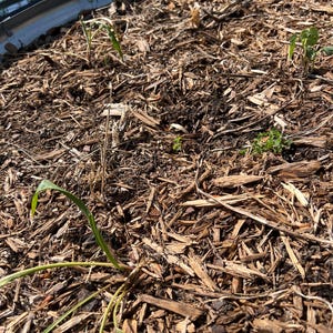 Rae added a photo of their purchase