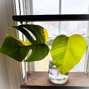 Tori added a photo of their purchase