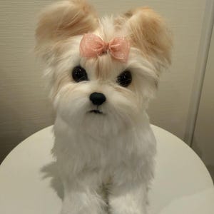 まな added a photo of their purchase