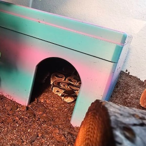 Alexandria heeft een foto van de aankoop toegevoegd