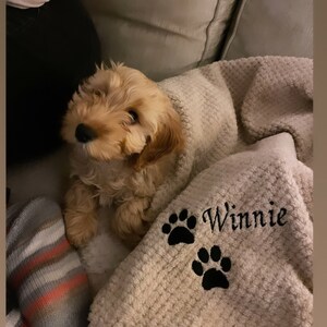 Anna added a photo of their purchase