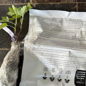 Natalia added a photo of their purchase