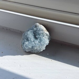 Katharine added a photo of their purchase