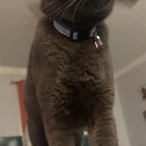 Esmeralda adicionaram uma foto da sua compra