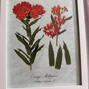 Alexandra added a photo of their purchase