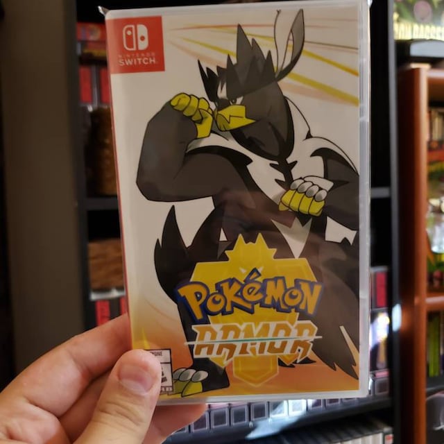 Pokemon Sword / Shield: the Crown Tundra Custom Game Case 