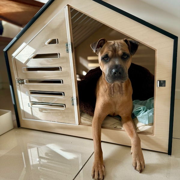Image showcasing Modern Design Dog Crate With Acrylic Door Venlo. Dog House/dog Bed/dog ...