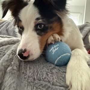 Jan added a photo of their purchase