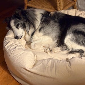 Bonnie ha añadido una foto de su compra