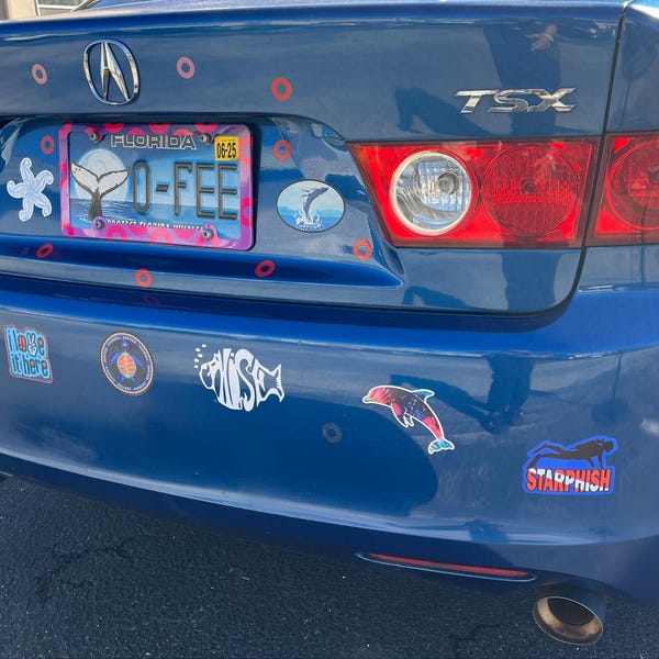 Set of Eagle Eye Automobile Shark Fin Sticker Design - Etsy