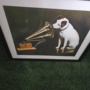 Julia added a photo of their purchase