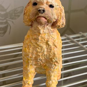 Louise ha añadido una foto de su compra