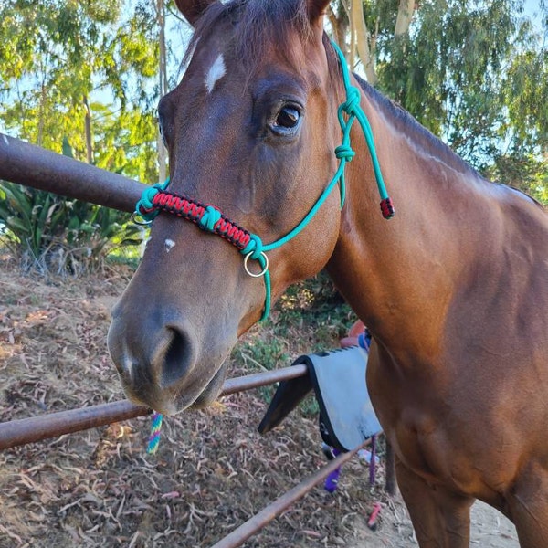 Bit Less Rope Halter Custom Sidepull Rope Halter With Braided Noseband, Bitless Bridle, Rope ...