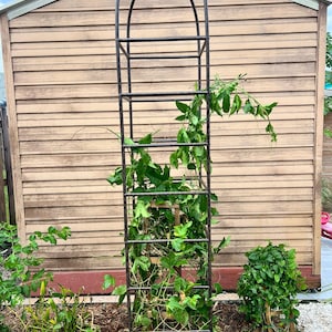 Daniella added a photo of their purchase