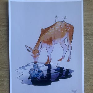 Tomáš added a photo of their purchase