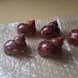 Deborah added a photo of their purchase