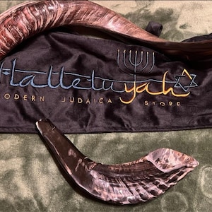 Jordan heeft een foto van zijn/haar aankoop toegevoegd