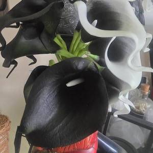 Heather added a photo of their purchase