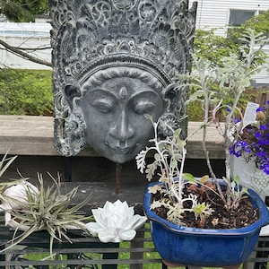 Lucille added a photo of their purchase