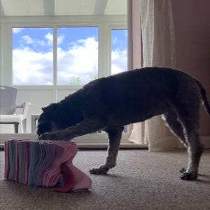 Beth added a photo of their purchase