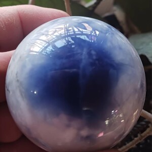 Gail added a photo of their purchase