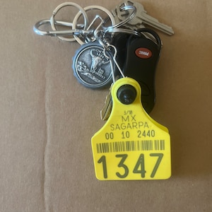 Abraham added a photo of their purchase
