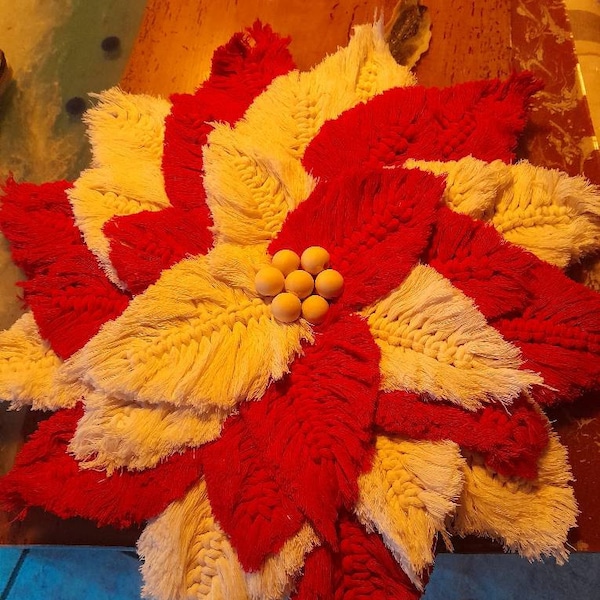 Macrame Angel Wings Wall Hanging