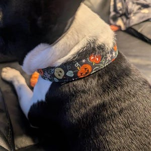 amanda added a photo of their purchase