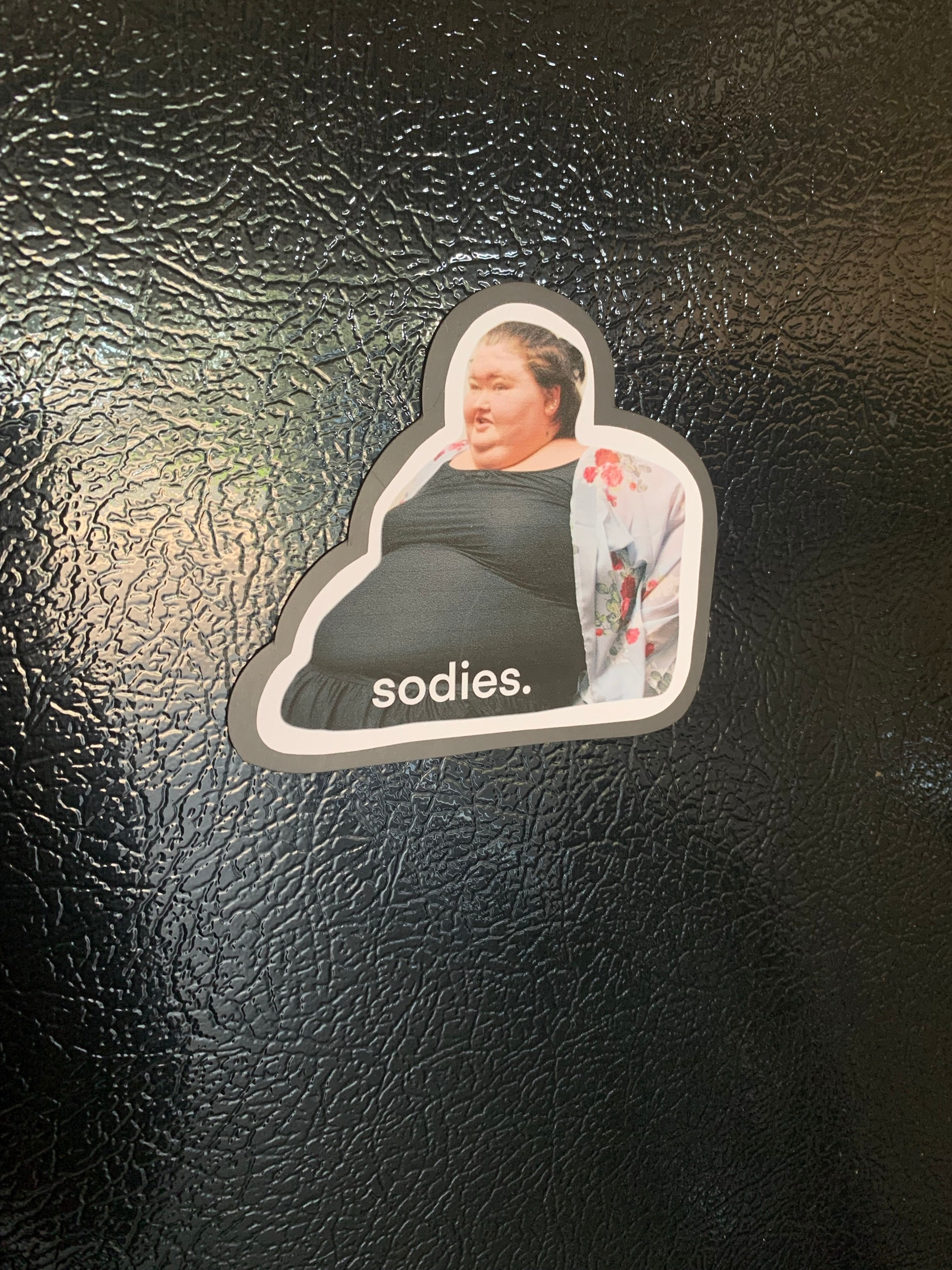 Amy Slaton magnet, 1000 lb sisters magnet, funny fridge magnet, sodies, TLC show, 1000 pound sisters, my 600 pound life, my bills are paid