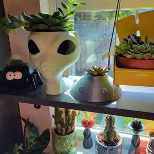 Lisa added a photo of their purchase