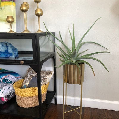 Modern Mid Century Brass Gold Planter With Gold Stand 7 Inch - Etsy