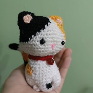 Carolina added a photo of their purchase