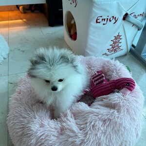 Jackie added a photo of their purchase