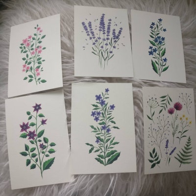 Postcard Set of 6 Botanical Wildflowers Collection - Etsy