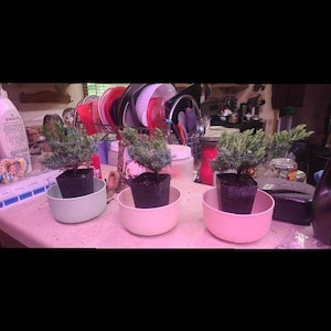 Debbi added a photo of their purchase