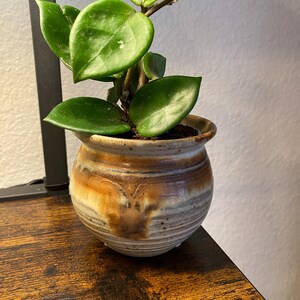 Diane added a photo of their purchase