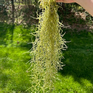 Jessica heeft een foto van zijn/haar aankoop toegevoegd