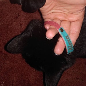 Asley added a photo of their purchase