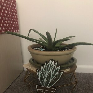 Signo de dama de la planta regalo amante de la planta signo | Etsy