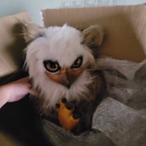 Lilly ha añadido una foto de su compra