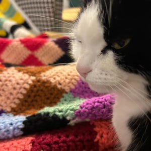 Christel a ajouté une photo de son achat