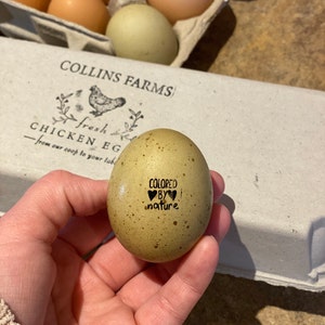 Emily added a photo of their purchase