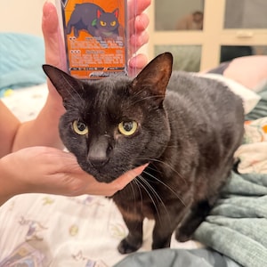 Etsy buyer added a photo of their purchase