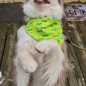 Sally added a photo of their purchase