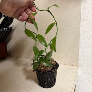 Jessica ha añadido una foto de su compra