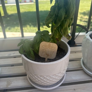 McKenzie added a photo of their purchase
