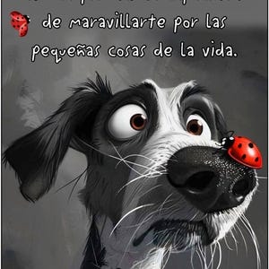 William ha añadido una foto de su compra