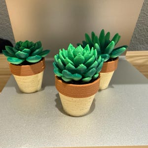 Greg added a photo of their purchase